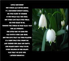 Little Snowdrops Remembering Baby Flower Quotes Funeral Order Of Service