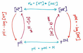 Converting Ph To Hydroxide Ion Concentrations This Is A