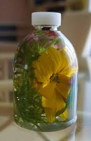 Lavender flowers harvested at this time of year will fall off the stems more easily when dry, making it easier to collect. What Can Be Used To Preserve Flowers In A Bottle Jar Quora