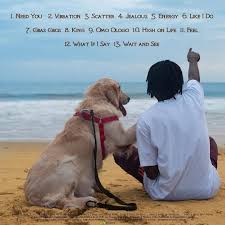 Download 2021 latest fire boy's 40 songs & album mp3, download april, 2021 latest fire boy's 40 songs & album mp3 and also download the best of fire boy songs (40) and instrumentals, free beats from fakaza Download Mp3 Fireboy Dml Vibration 360dopes