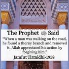 The whale is haram too. Hs9il7wmygqi3m