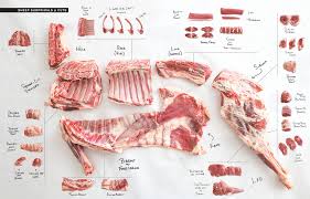 The Books Adam Danforth Butcher Educator