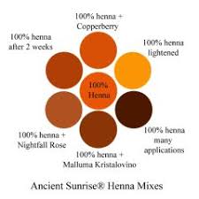 Henna Mixes Henna Indigo Cassia And Fruit Juices