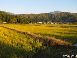 2 hotmail aktif olarak kullandığım. Autumn In Tranquil Tane District Of Shiga Prefecture Ohmi Kohoan Yaqmo