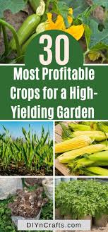 Das gegenteil sind food crops. 30 Most Profitable Crops For A High Yielding Garden In 2020 Growing Vegetables Perennial Vegetables Home Vegetable Garden