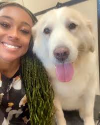 Sweetness overload! Meet Snowy, she's a big ole Labradoodle!