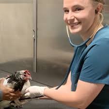 CARE ANIMAL HOSPITAL