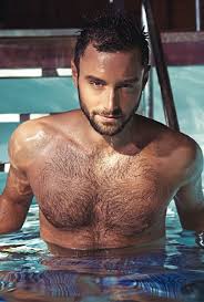 Måns zelmerlöw represented sweden at the eurovision song contest 2015 in austria with the song heroes. Pin On Missed A Mister