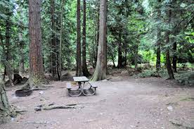 Maybe you would like to learn more about one of these? Under The Starry Sky Camping At Washington Park In Anacortes