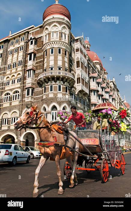 Horse drawn carriage on a sightseeing trip around Colaba Mumbai in front of the Taj Mahal Palace Hotel Mumbai ( Bombay ) India Stock Photo - Alamy