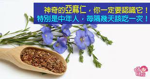 神奇亞麻仁 中年的妳一定要認識它的小秘密 healthy tips healthy tableware