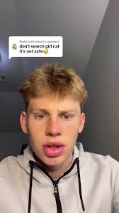 Whats Happens When You Search Cat in Google