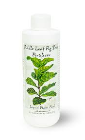 We did not find results for: 12 Best Fertilizers And Soils For Fiddle Leaf Fig Tree