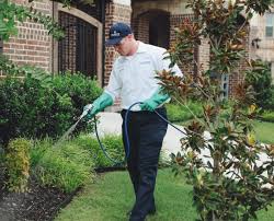 Lawn pest treatment and controlling insects in grass. 7 Best Diy Pest Control Hacks For Home Betterdecoratingbiblebetterdecoratingbible