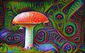 Pin By Emma On Projets In 2021 Mushroom Art Fungi Art Psychedelic Drawings