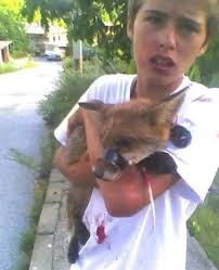 Man rescues fox from abuse and dedicates life to animal protection
