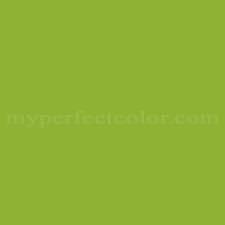 And so comes the issue of deciding which particular shade you're i did a bold green feature wall in a bedroom recently and painted the surrounding walls in dulux lexicon. Dulux Granny Smith Precisely Matched For Paint And Spray Paint