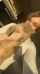 Green eyes girls 💚 : r/cats