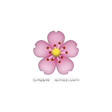 Cherry Blossom Emoji Emoji Pictures Flowers
