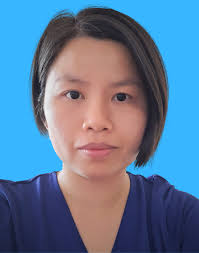 CURRICULUM VITAE DR. LEE LOONG CHUEN