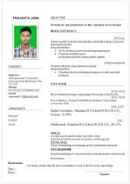 Sample functional cv format template A Cv Template For Job Picture Density