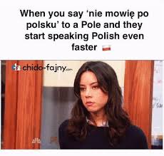 Polish Meme People Speaking Polish Memes Polish Language Memes