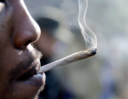 does smoking pot actually make you stupid