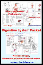 Digestive System Unit This 100 Page Packet On The Digestive System Covers The Mouth Swallowing Ho Human Body Activities Digestive System Human Body Systems
