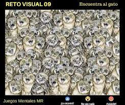 Encuentra los lentes juegos mentales : Reto Visual N 09 Encuentra El Juegos Mentales Mr Facebook