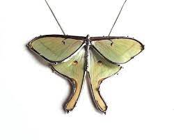 Real Luna Moth Necklace Statement Necklace Wearable Nature Etsy Luna Moth Moth Nature Art