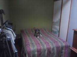 Exploring the natural landscape of los angeles. The Worst Rooms For Rent In Los Angeles Business Insider