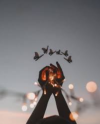 1 Twitter Creative Photography Beautiful Wallpapers Photography Wallpaper Check out atb's updated collection to share and so, this was our collection of whatsapp dp images. 1 twitter creative photography