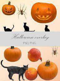 Halloween Overlays Photo Overlays Pumpkin Overlay Spider Etsy Photo Overlays Photoshop Overlays Pumpkin Photography