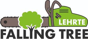 Wahlergebnisse aus esbeck und rixbeck ziersträucher und. Baum Fallen In Niedersachsen Baumfallung