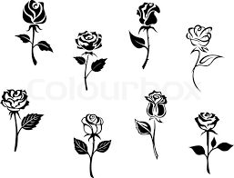 Stock Vector Of Rose Flowers White Rose Tattoos Small Rose Tattoo Black Rose Tattoos Sign in with a different account create account. white rose tattoos small rose tattoo