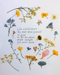 Pin By Teddi Grace On Love Yourself Flower Quotes Quotes About Flowers Blooming Wild Flower Quotes