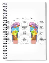 Foot Reflexology Chart Description Spiral Notebook