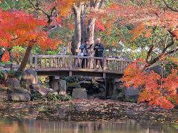 What Are The Basic Japanese Garden Structures Shizenstyle