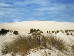 Offering fat biking, buggies and sandboarding options to keep everyone entertained. Little Sahara Kangaroo Island Australia