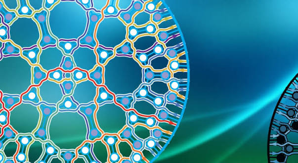 Tensor Networks Initiative | Perimeter Institute