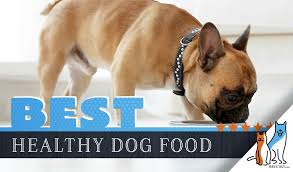 15 Best Dog Foods Our 2019 Extremely In Depth Guide To