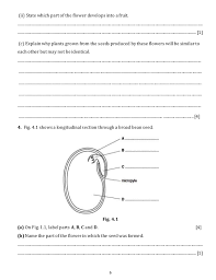 We did not find results for: Reproduction Practice Questions Plant Focus