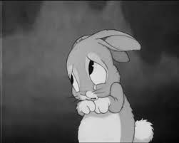 Https Encrypted Tbn0 Gstatic Com Images Q Tbn 3aand9gcqslkwz1xpun Oshkcshxmu9b2bbcftluq Oa Usqp Cau
