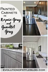 painted cabinets in repose gray and