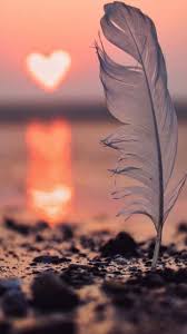 All you need to do is to know how to save images as wallpapers, and there you go! Wallpaper Wallpaper Wallpaper Backgrounds Wallpaperbackgrounds Tags Wallpaperiphone Wallp Pretty Wallpapers Beautiful Nature Wallpaper Sunset Wallpaper