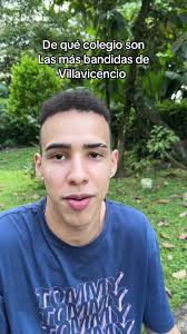 Colegio Silvia Aponte Villavicencio