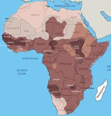 Image result for Skin of Color