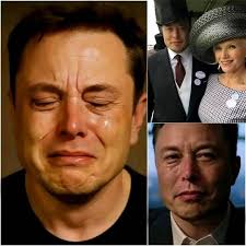 Crazy News About Elon📈 https://Bitfuex.com