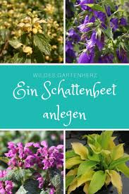 Ein Schattenbeet Anlegen Schattenbeet Pflanzen Wachsenden Pflanzen
