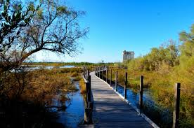 Tour Carbonniere Saint Laurent D Aigouze Paysage Faune Et Flore Faune